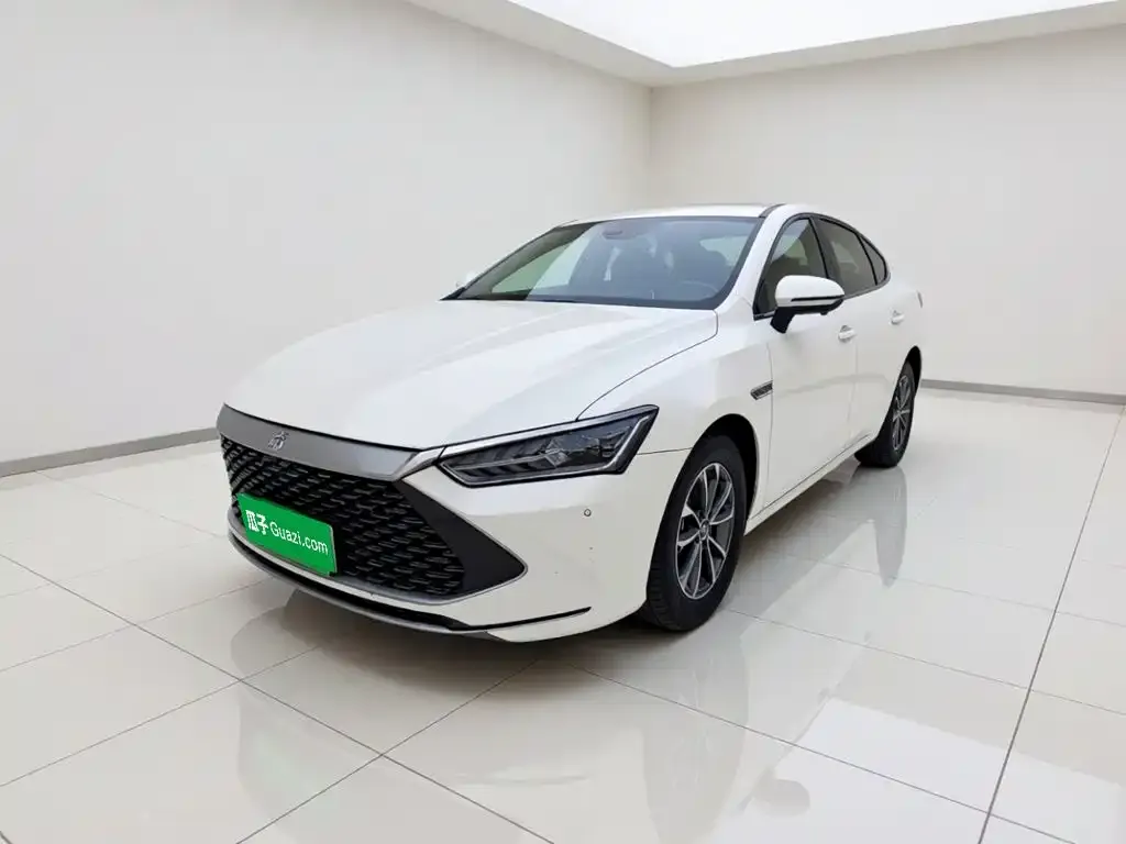 2023 BYD Qin PLUS Champion DM-i PHEV 55KM Leading