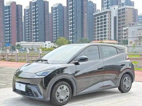 2023 BYD Seagull Vitality
