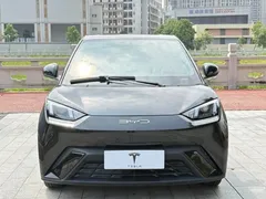 2023 BYD Seagull Vitality, чёрный — фото 2