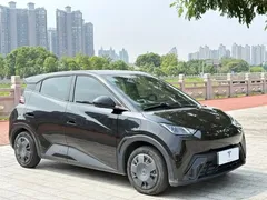 2023 BYD Seagull Vitality, чёрный — фото 3