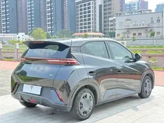 2023 BYD Seagull Vitality, чёрный — фото 9