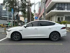 2024 BYD Qin PLUS Honor DM-i PHEV 55km Leading, белый — фото 9