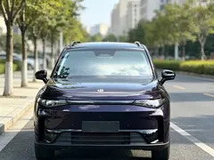 2024 Leapmotor C16 EREV 200 Premium — фото 2