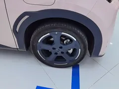 2024 BYD Seagull EV Glory 405km Flying — фото 6