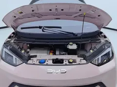 2024 BYD Seagull EV Glory 405km Flying — фото 10