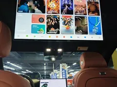 2025 Li Auto L9 Smart Refresh, зелёный — фото 18