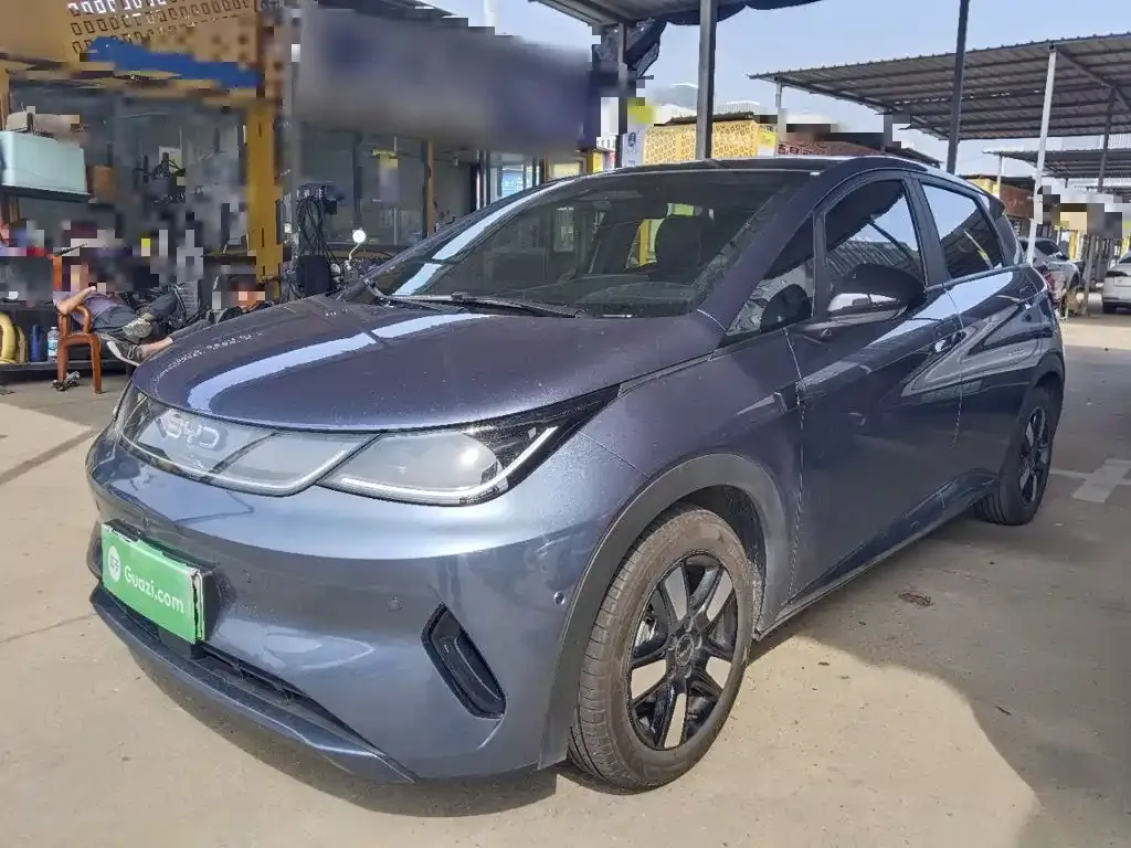 2025 BYD Dolphin Smart Driving 410km Fashion