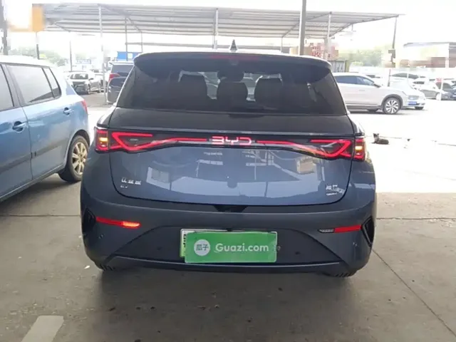 2025 BYD Dolphin Smart Driving 410km Fashion