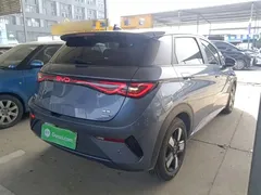 2025 BYD Dolphin Smart Driving 410km Fashion — фото 7