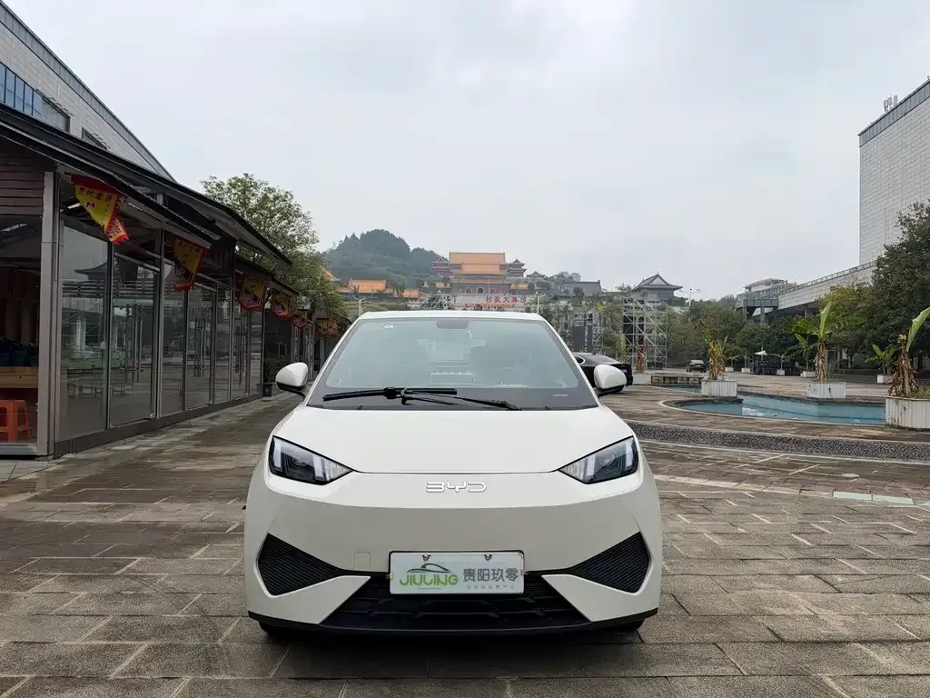 2025 BYD Seagull EV 305km