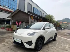 2025 BYD Seagull EV 305km — фото 2