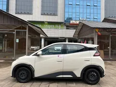 2025 BYD Seagull EV 305km — фото 3