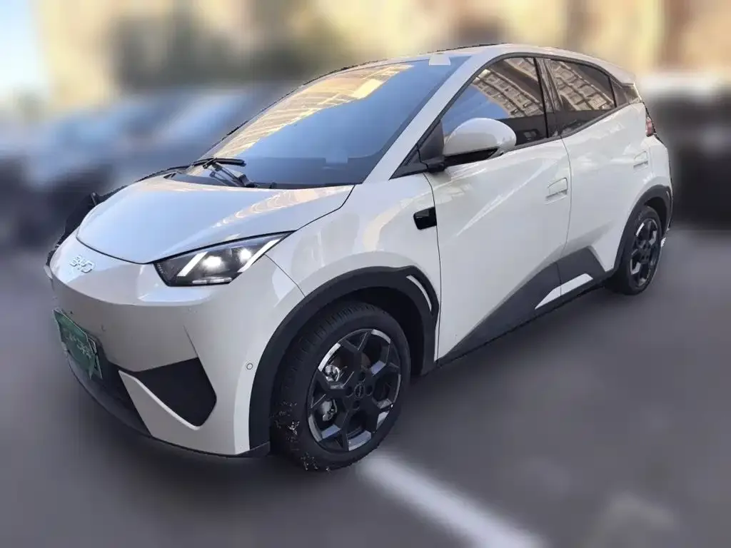 2025 BYD Seagull Smart Driving 305km Freedom