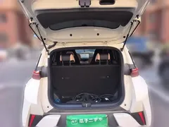 2025 BYD Seagull Smart Driving 305km Freedom, белый — фото 15