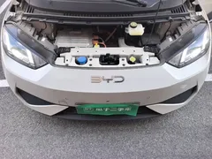 2025 BYD Seagull Smart Driving 305km Freedom, белый — фото 16