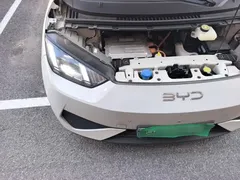 2025 BYD Seagull Smart Driving 305km Freedom, белый — фото 21