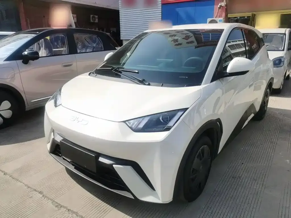 2025 BYD Seagull 305km Vitality