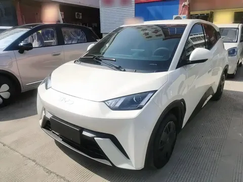 2025 BYD Seagull 305km Vitality