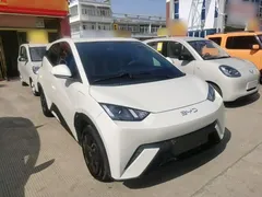 2025 BYD Seagull 305km Vitality, белый — фото 4