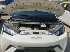 2025 BYD Seagull 305km Vitality, белый — фото 20