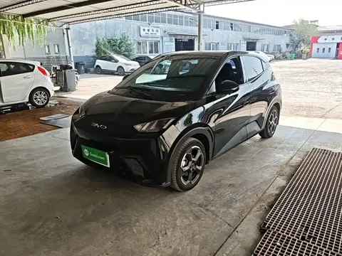 2023 BYD Seagull Flying
