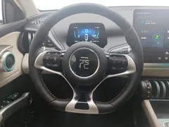 2024 BYD Yuan PLUS Honor 510KM EV — фото 15