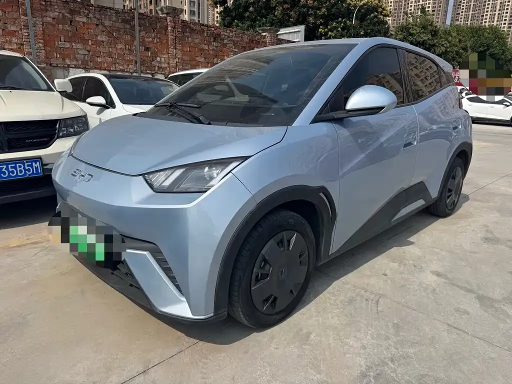 2024 BYD Seagull Honor 305km Vitality