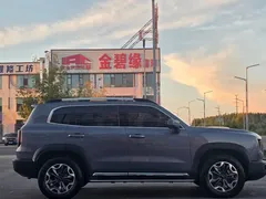 2022 Haval Dargo 2.0T DCT 4WD, белый — фото 7
