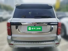 2023 Tank 500 3.0T Business 5-seat — фото 8
