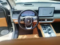 2023 Tank 500 3.0T Business 5-seat — фото 15