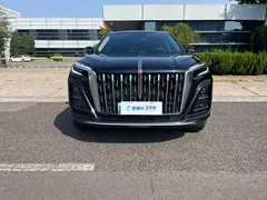 2025 Hongqi HS3 PHEV 117km, чёрный — фото 9