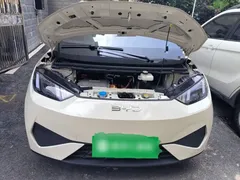 2025 BYD Seagull EV 305km, белый — фото 16
