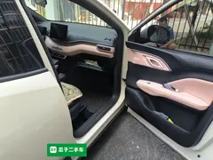 2025 BYD Seagull EV 305km, белый — фото 19