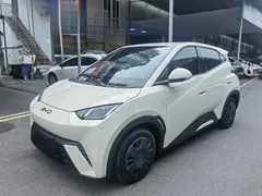 2025 BYD Seagull 305km Vitality, белый — фото 1