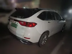 2021 Haval M6 Plus 1.5T DCT Luxury, белый — фото 4