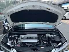 2020 Lexus UX 260h, белый — фото 14