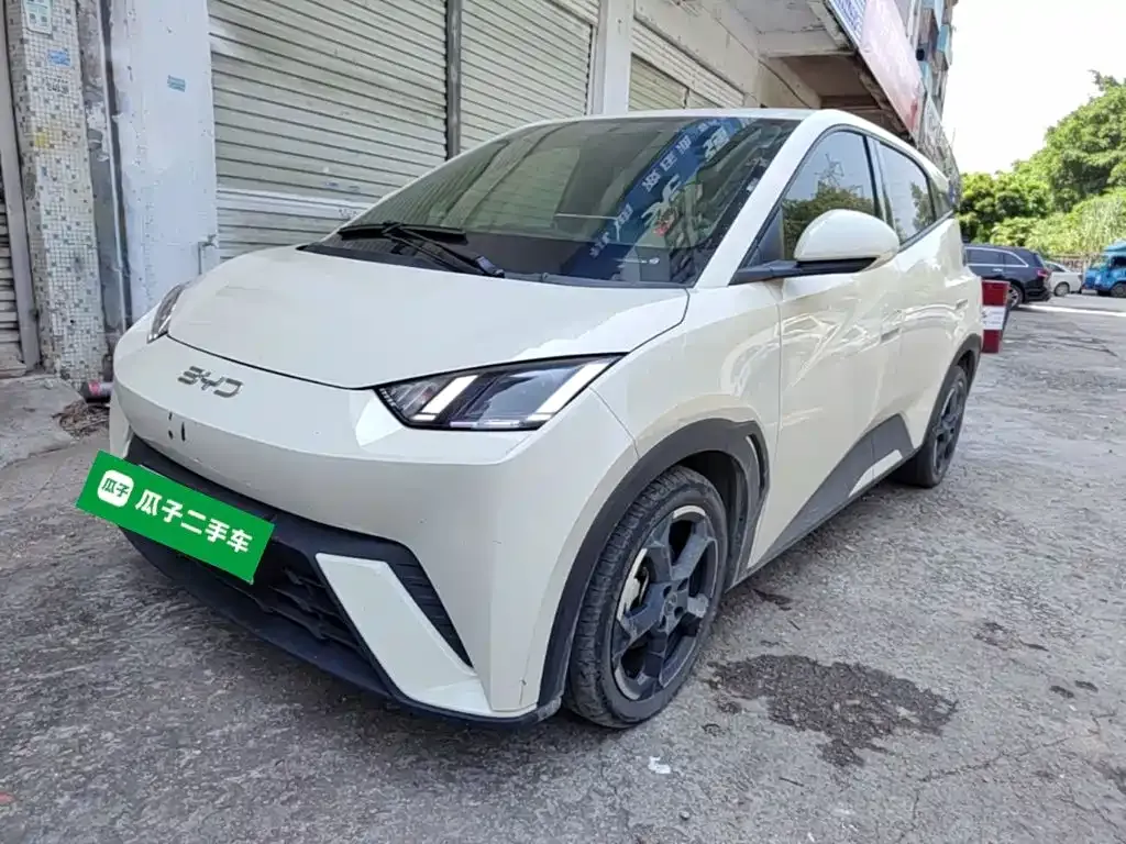 2023 BYD Seagull Flying