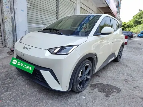 2023 BYD Seagull Flying
