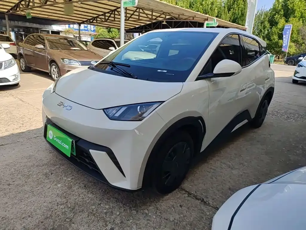 2024 BYD Seagull Honor 305km Vitality