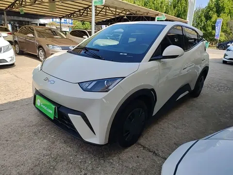 2024 BYD Seagull Honor 305km Vitality