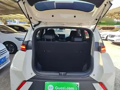 2024 BYD Seagull Honor 305km Vitality, белый — фото 19