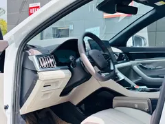 2025 BYD Song PLUS EV 605km Flagship, белый — фото 5