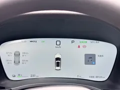 2025 BYD Song PLUS EV 605km Flagship, белый — фото 13