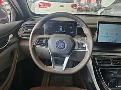 2023 BYD Qin PLUS Champion DM-i PHEV 120km — фото 15