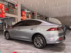 2023 BYD Qin PLUS Champion DM-i PHEV 55KM Leading — фото 7