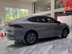 2023 BYD Qin PLUS Champion DM-i PHEV 55KM Leading — фото 9
