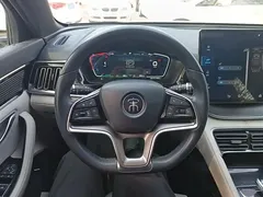 2021 BYD Song PLUS DM-i PHEV 110KM Flagship Plus 5G — фото 11