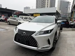 2020 Lexus RX 300 2WD Elite, белый — фото 13
