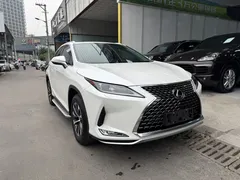 2020 Lexus RX 300 2WD Elite, белый — фото 14