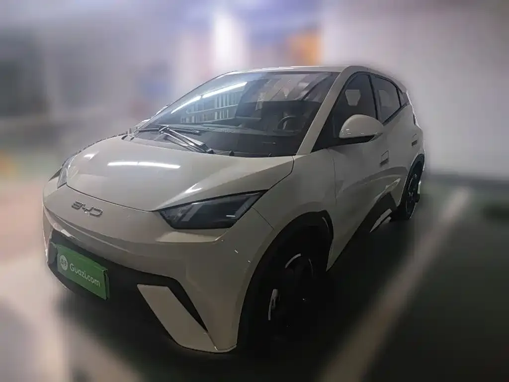 2023 BYD Seagull Flying